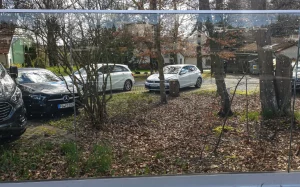 Glaszaun mit Vogelschutzfolie